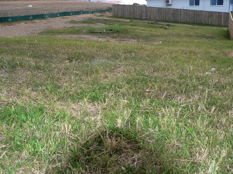 Upper Coomera QLD 4209