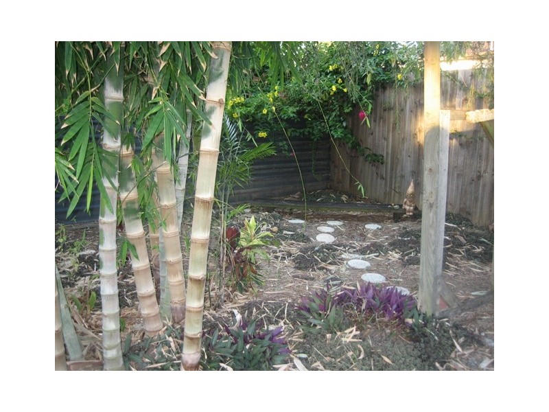 18 Lorraine Court, Lawnton QLD 4501