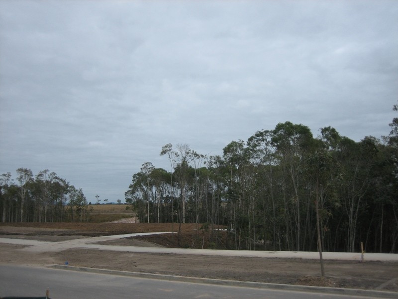 11 Planigale Crescent, North Lakes QLD 4509