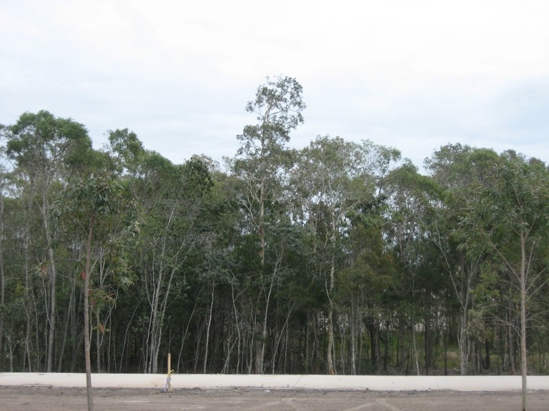 11 Planigale Crescent, North Lakes QLD 4509