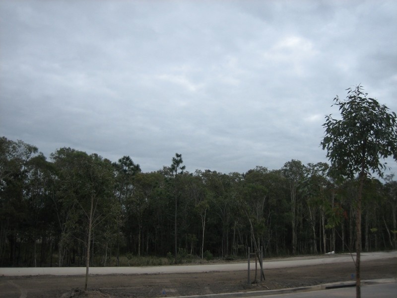 11 Planigale Crescent, North Lakes QLD 4509