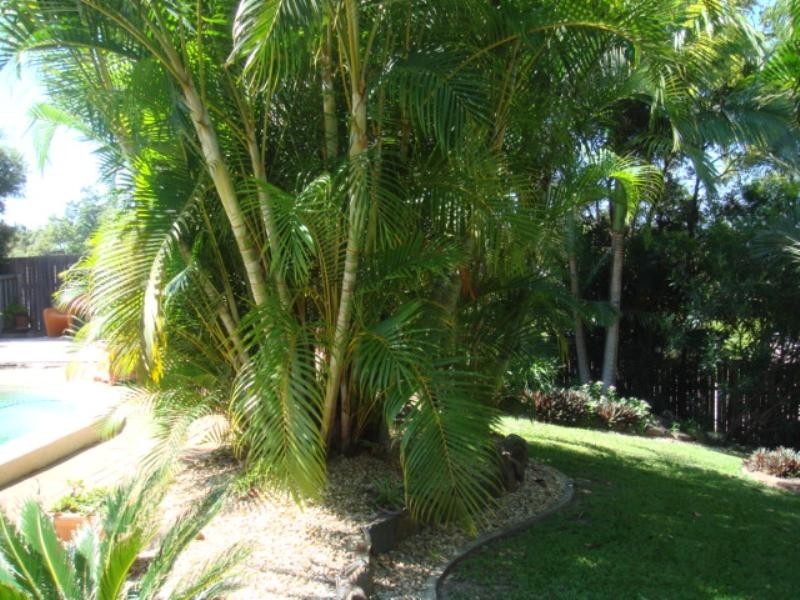 48 Watford Crescent, Molendinar QLD 4214