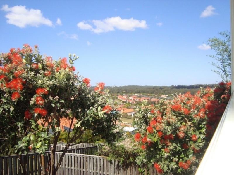 23 Midway Terrace, Pacific Pines QLD 4211