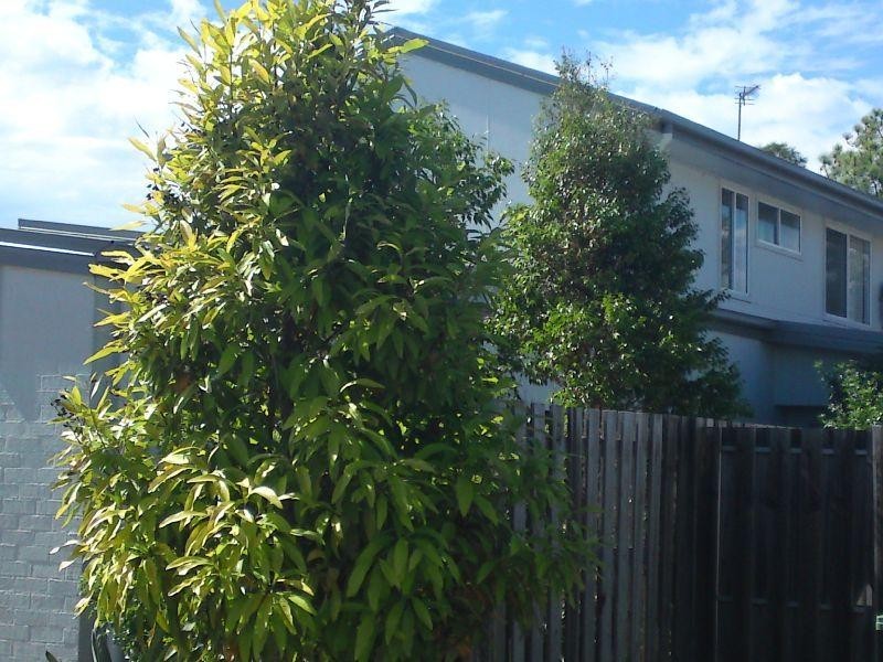 9 Ridgewood Close, Pacific Pines QLD 4211