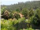 Pacific Pines QLD 4211