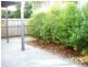 110/31 Archipelago Street, Pacific Pines QLD 4211