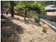 10 Moorea Court, Pacific Pines QLD 4211