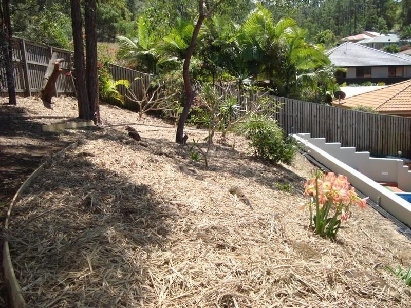 10 Moorea Court, Pacific Pines QLD 4211