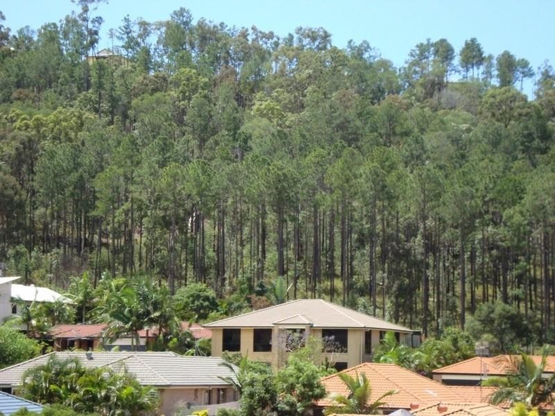 10 Moorea Court, Pacific Pines QLD 4211