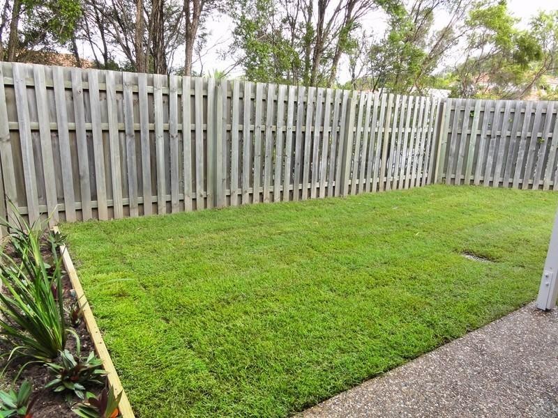 11/2 Studio Drive, Pacific Pines QLD 4211