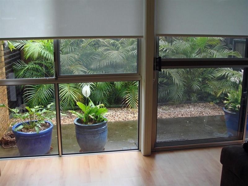 51/84 Lawrence Drive, Nerang QLD 4211