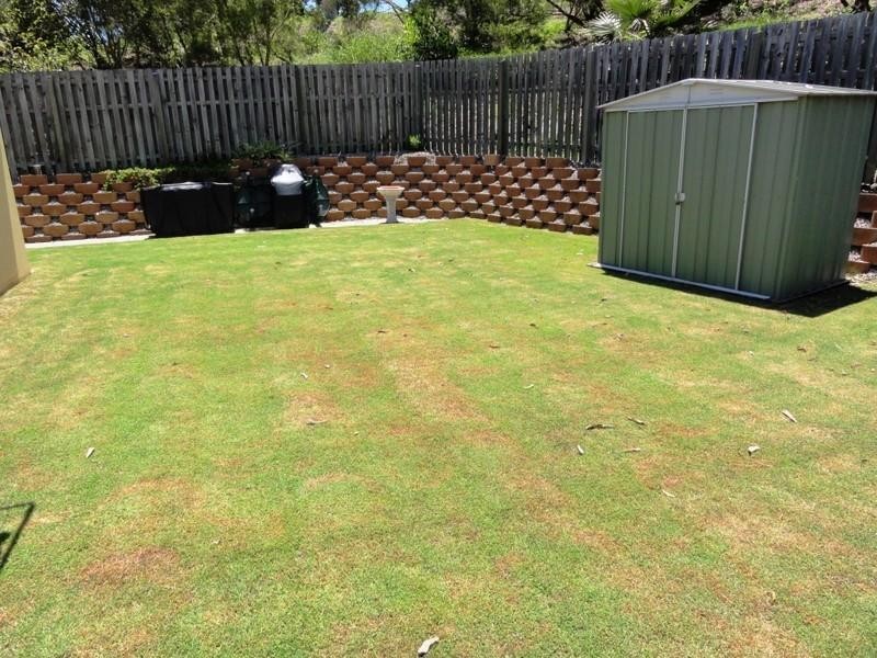 Pacific Pines QLD 4211