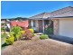 Pacific Pines QLD 4211