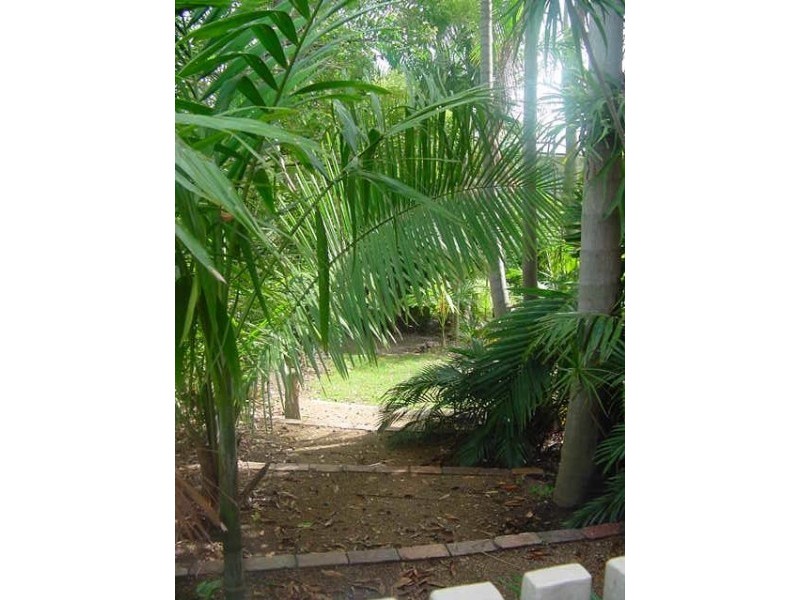 117 Arthur Terrace, Red Hill QLD 4059