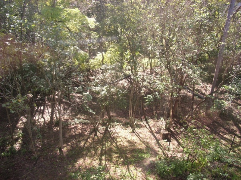 5 Chiswick Road, Bardon QLD 4065