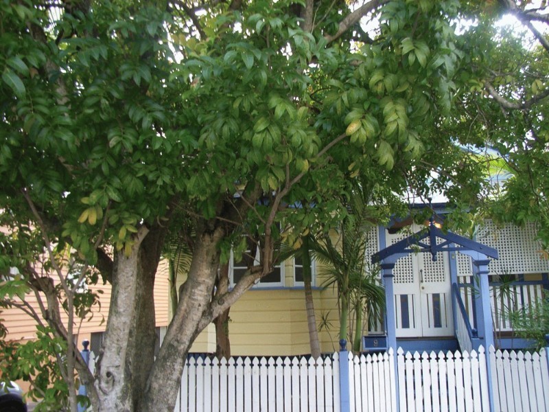 9 Victoria Street, Kelvin Grove QLD 4059