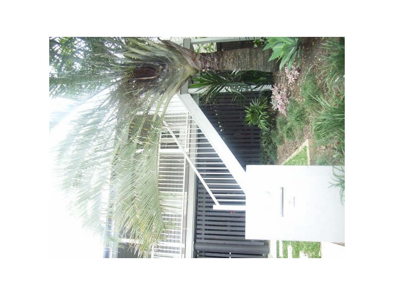 23 Hall Street, Paddington QLD 4064