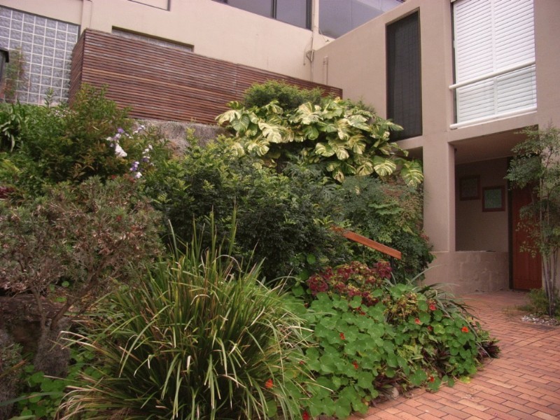 3/6 Golden Orchid Drive, Bardon QLD 4065