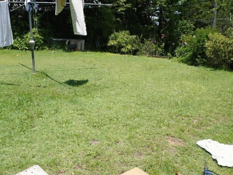 77 Ellena Street, Paddington QLD 4064