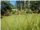 23 Killawarra Road, Ashgrove QLD 4060