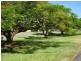 23 Killawarra Road, Ashgrove QLD 4060