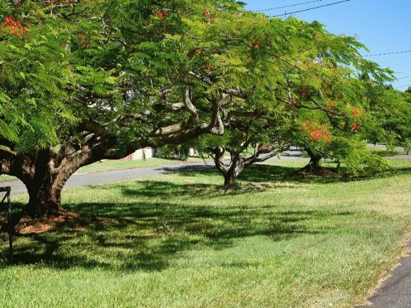 23 Killawarra Road, Ashgrove QLD 4060