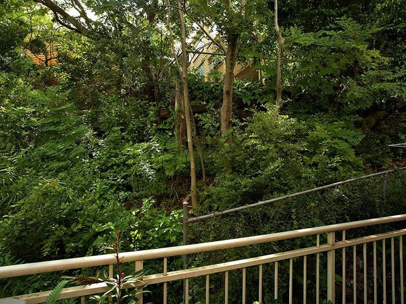 14/11 Mort Street, Paddington QLD 4064