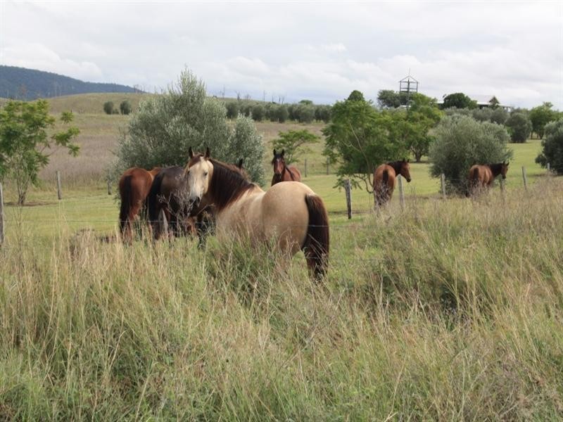 80 Macfarlane Road, Bryden QLD 4312