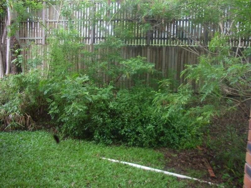 13/102 Rockbourne Terrace, Paddington QLD 4064