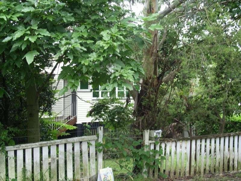 43 Payne Street, Auchenflower QLD 4066