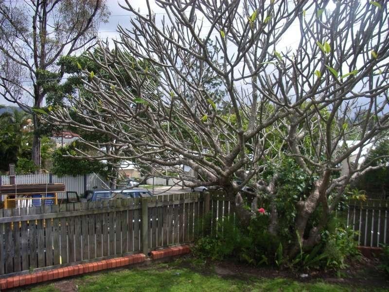 1/48 Guthrie Street, Paddington QLD 4064