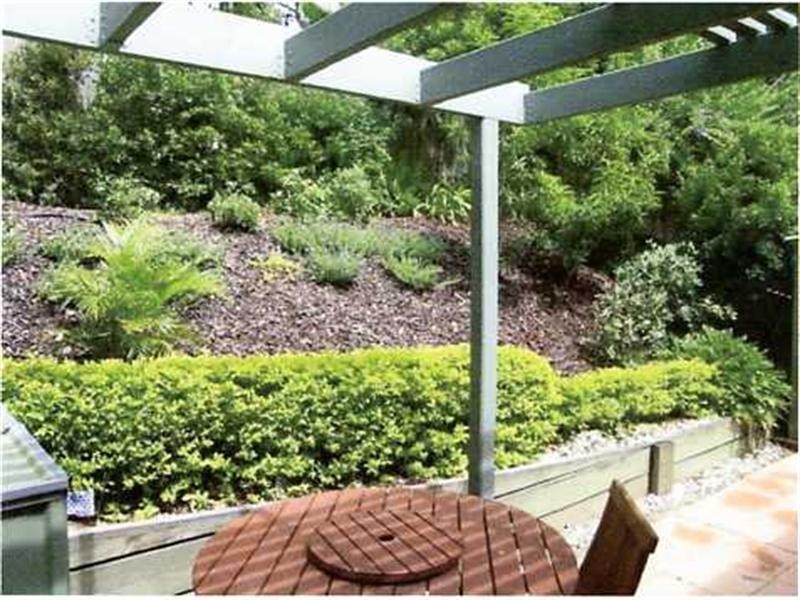 77A Ashgrove Avenue, Ashgrove QLD 4060