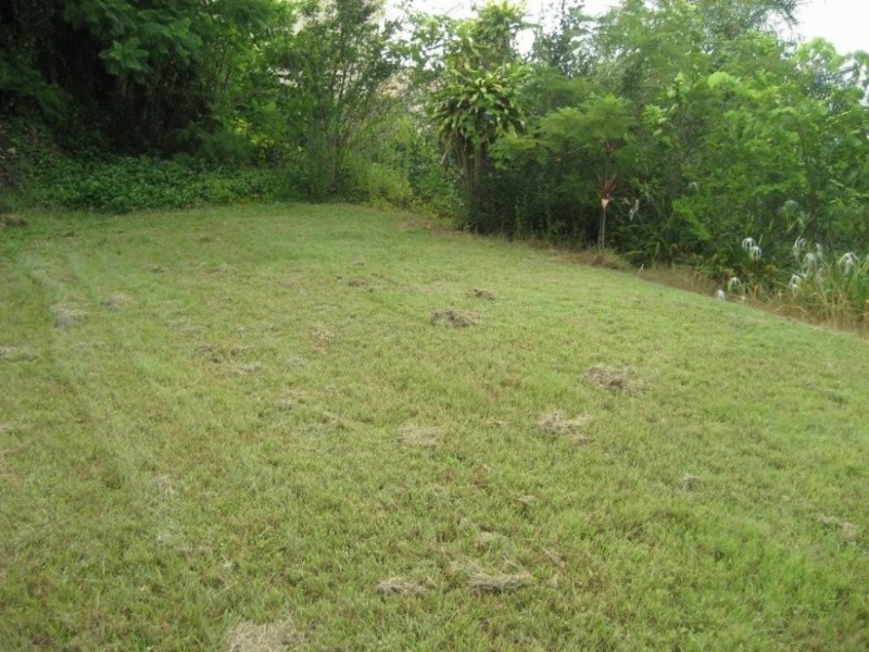 25 Langside Road, Hamilton QLD 4007