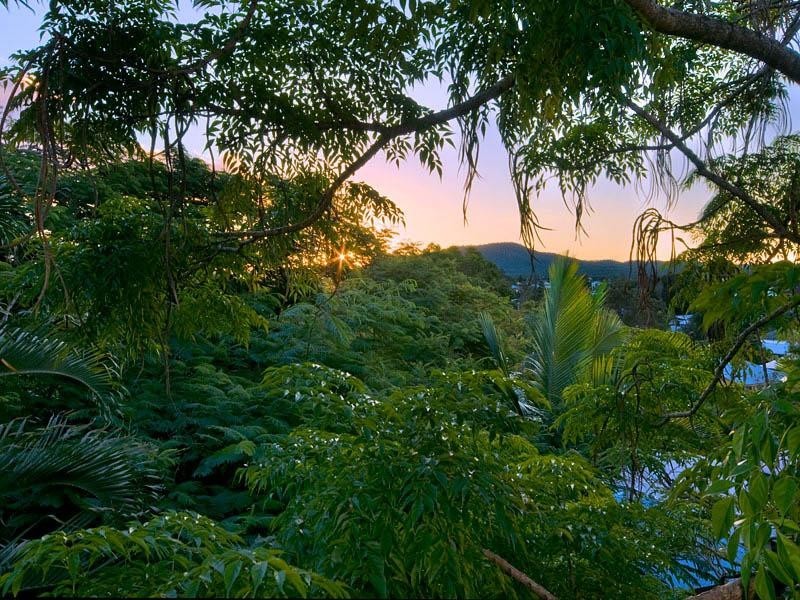 151 Enoggera Terrace, Paddington QLD 4064