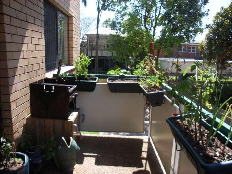 3/26 Dobson Street, Ascot QLD 4007