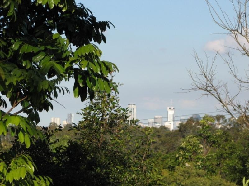 28 Ludlow Street, Gaythorne QLD 4051