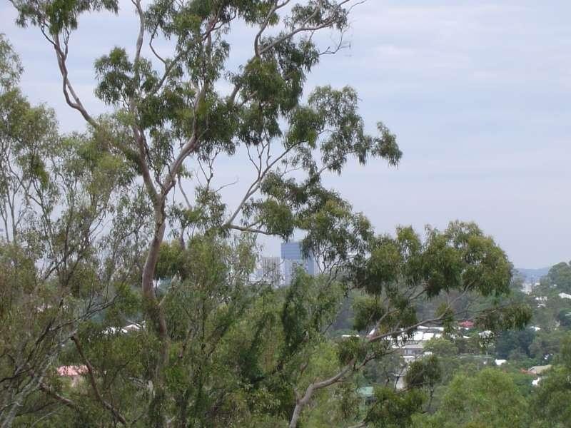 112 Outlook Crescent, Bardon QLD 4065