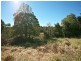 533 Payne Road, The Gap QLD 4061