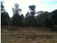 533 Payne Road, The Gap QLD 4061