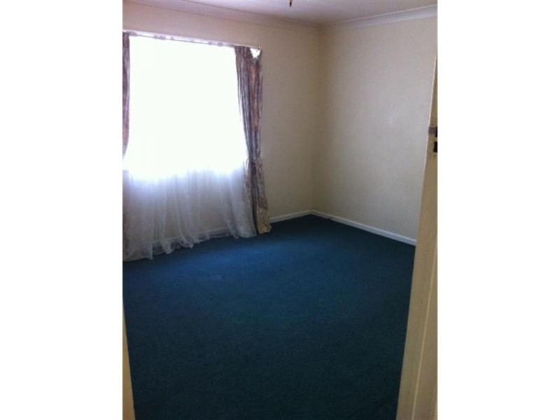 82 Greer Street, Bardon QLD 4065