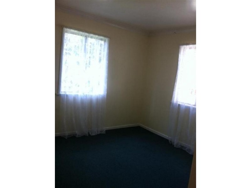 82 Greer Street, Bardon QLD 4065