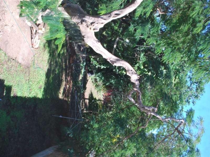 23 Rosalie Street, Bardon QLD 4065