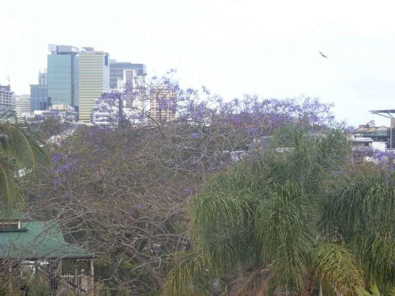 23 Great George Street, Paddington QLD 4064