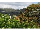 177 Empress Terrace, Bardon QLD 4065