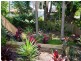 153 Jubilee Terrace, Bardon QLD 4065