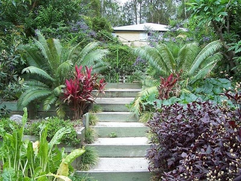 36 Lorward Avenue, Bardon QLD 4065