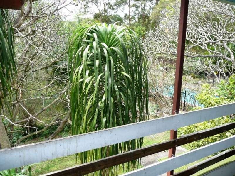 53 Atthow Avenue, Ashgrove QLD 4060