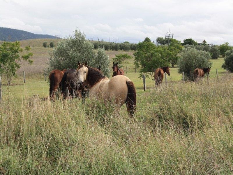 80 Macfarlane Road, Bryden QLD 4312