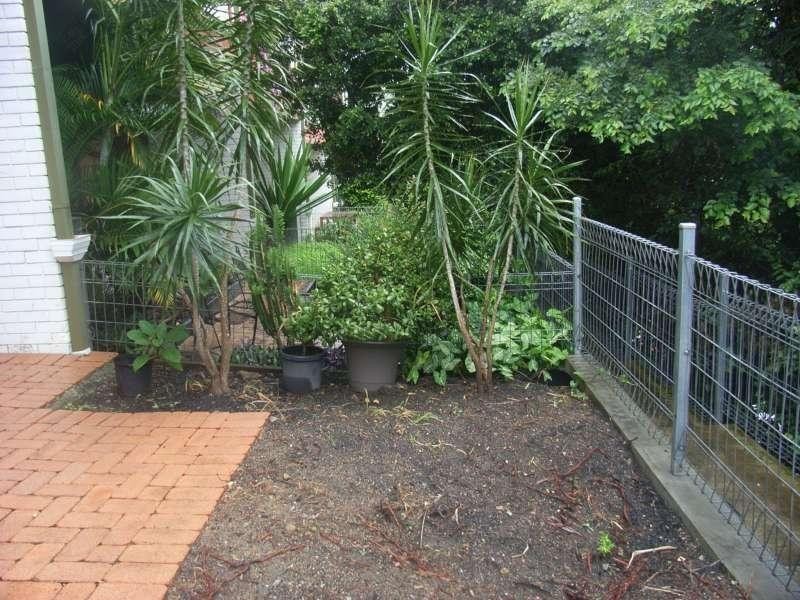 1/203 Waterworks Road, Ashgrove QLD 4060