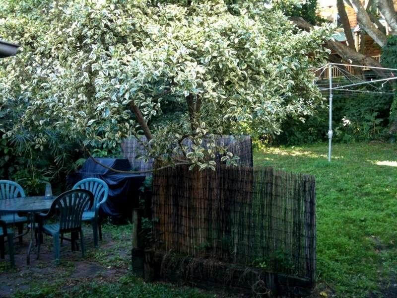 11 Berry Street, Paddington QLD 4064